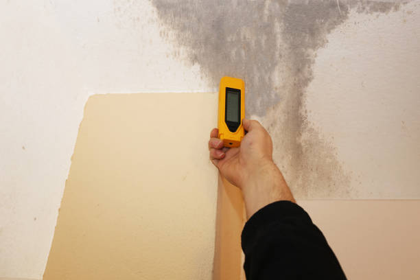 Mold Removal for HVAC Installations in Orange, CA