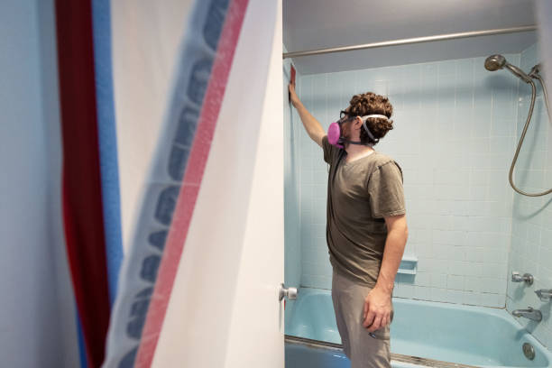 Best Basement Mold Removal  in Orange, CA