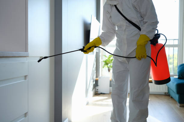 Best Real Estate Mold Inspection  in Orange, CA