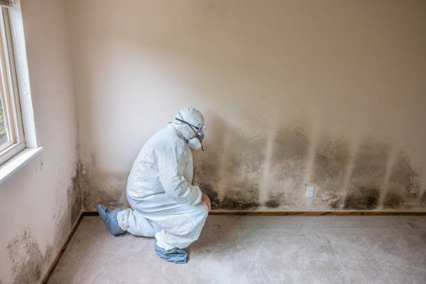 Mold Remediation for Vacation Homes in Orange, CA
